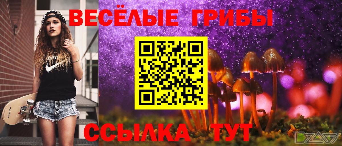 наркошоп  Вход с VPN  Мариинск  Галлюциногенные грибы Psilocybine cubensis 